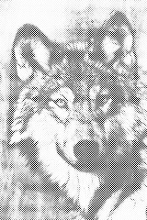 Illustration of Wolf - Dottingo