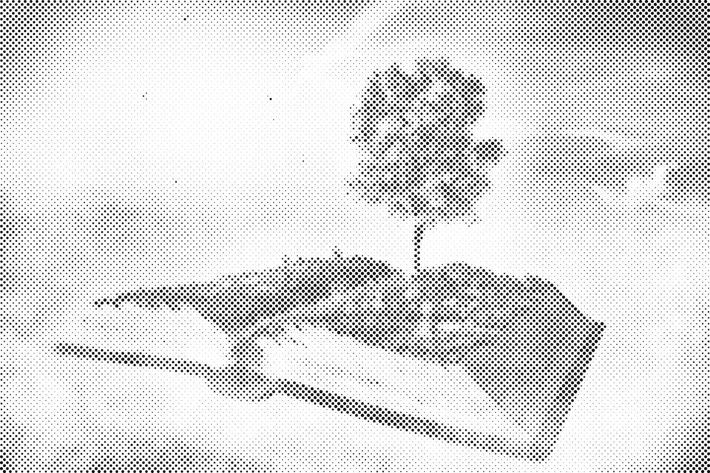 Book in the Clouds - Dottingo