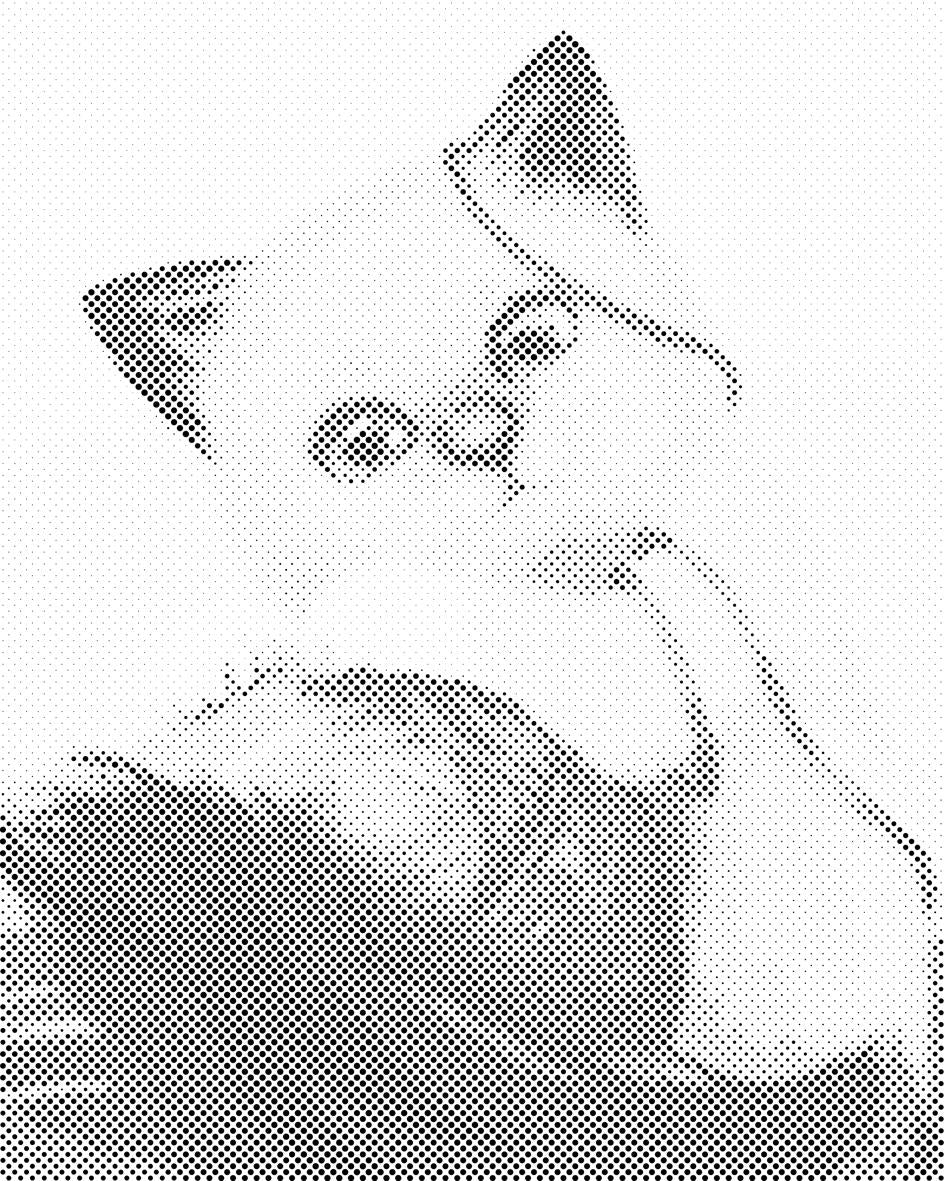 Kitty playing with a Ball - Dottingo