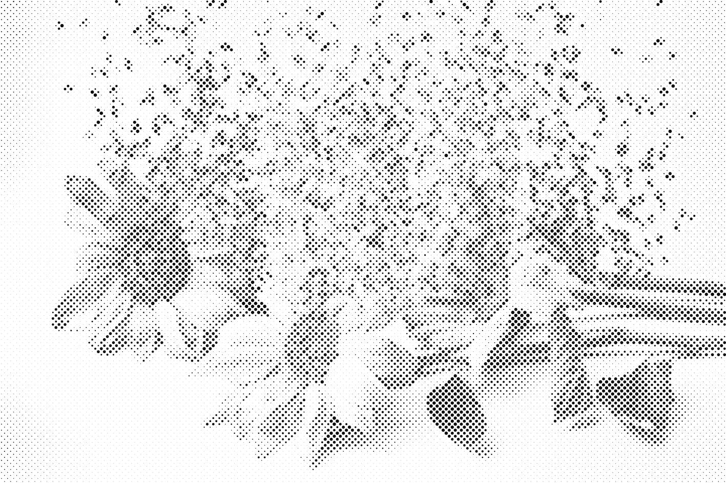 Blown Sunflowers - Dottingo