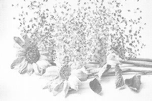 Blown Sunflowers - Dottingo