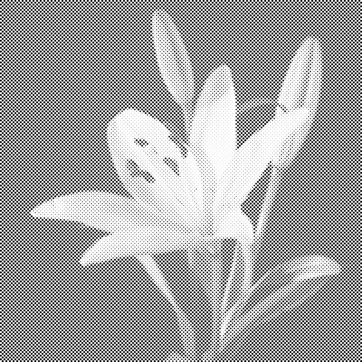 Lilies - Dottingo