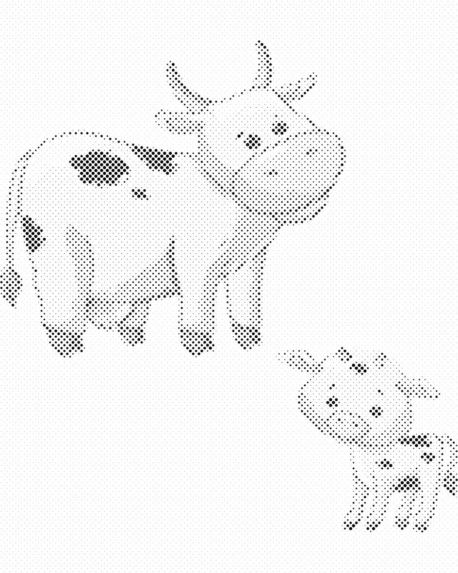 Cows - Dottingo