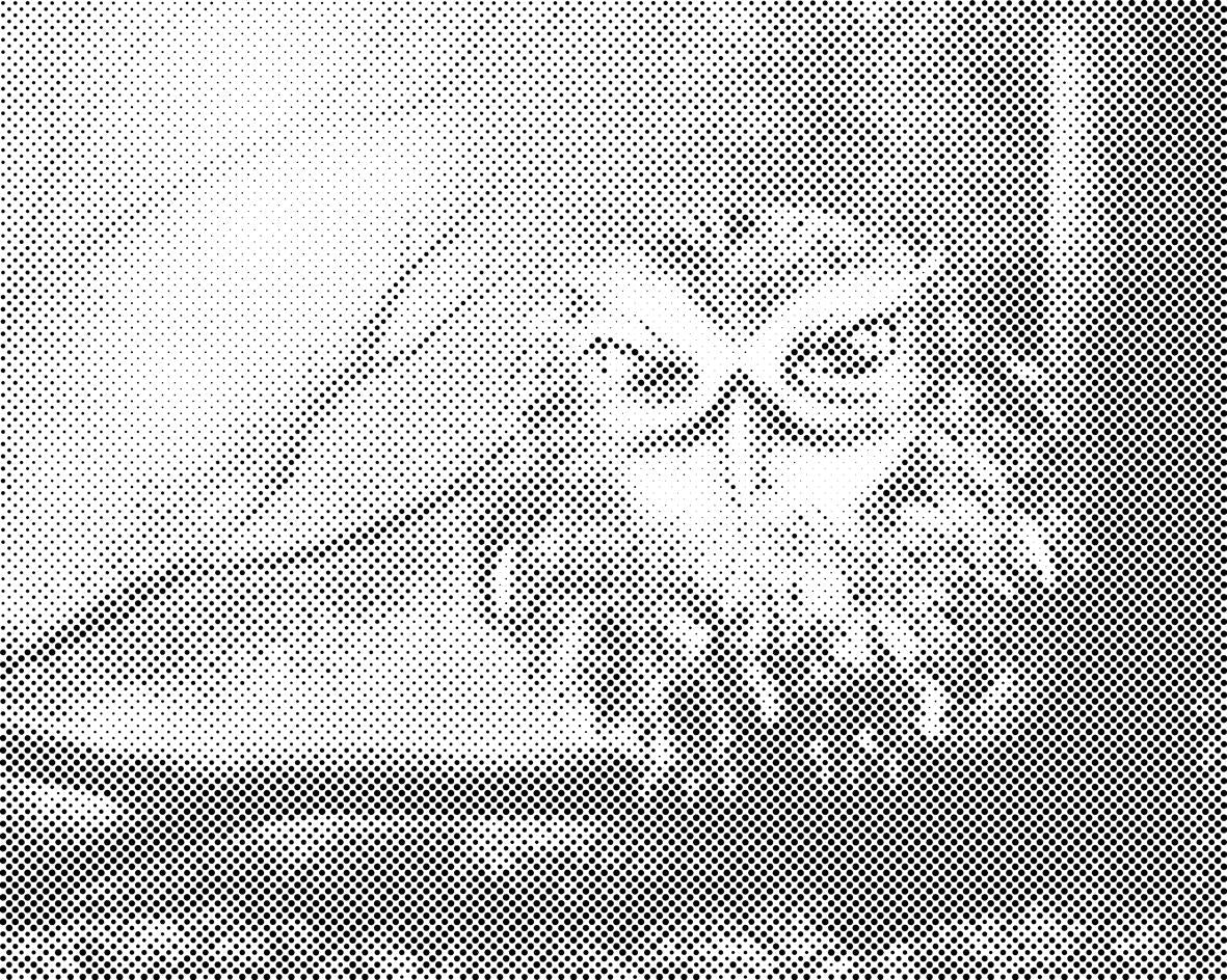 Wise Owl - Dottingo