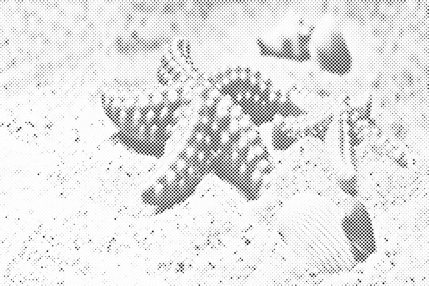 Starfish in the Sand - Dottingo