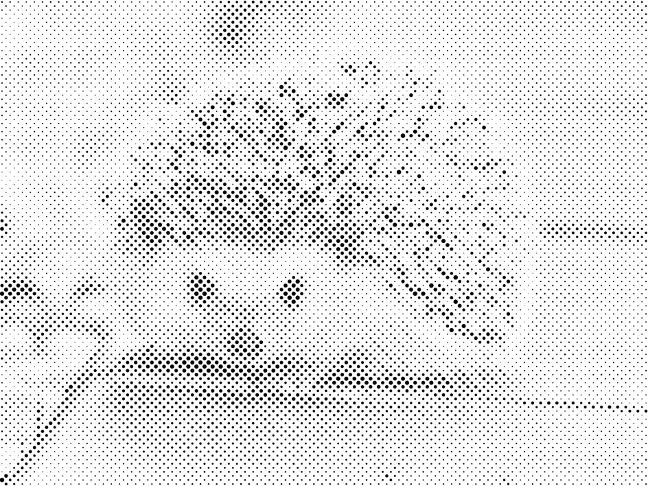 Hedgehog Night Creature - Dottingo