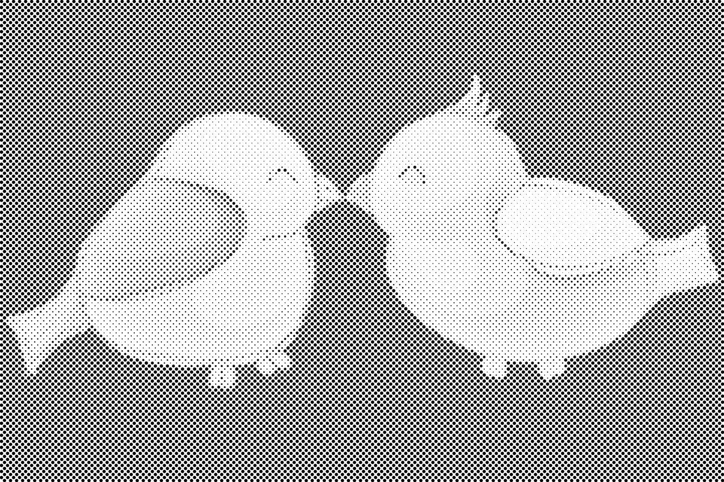 Love Birds - Dottingo