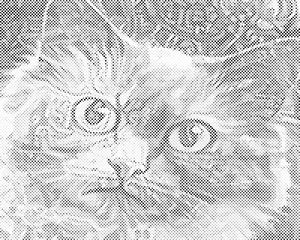 Cat's head 3 - Dottingo