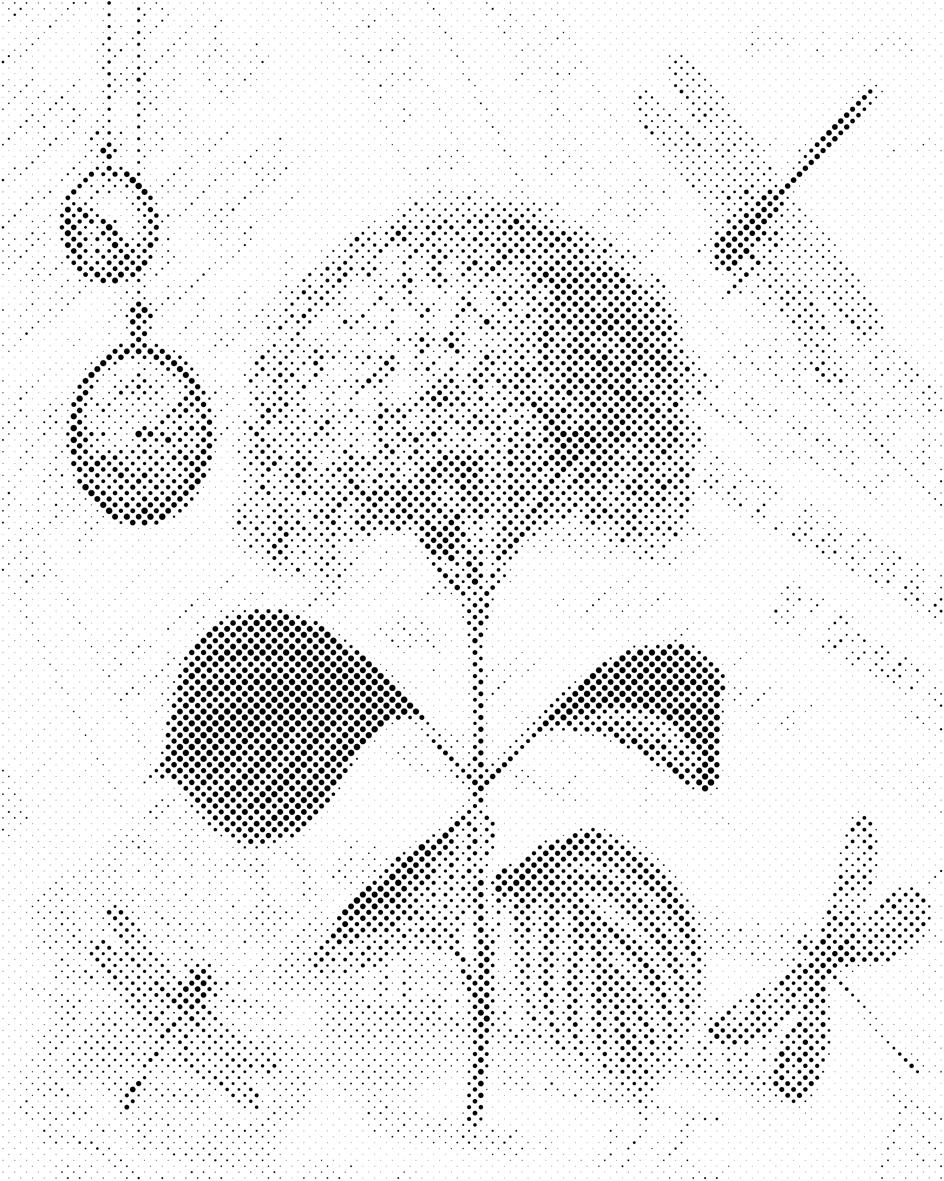 Hortensia and dragonflies - Dottingo