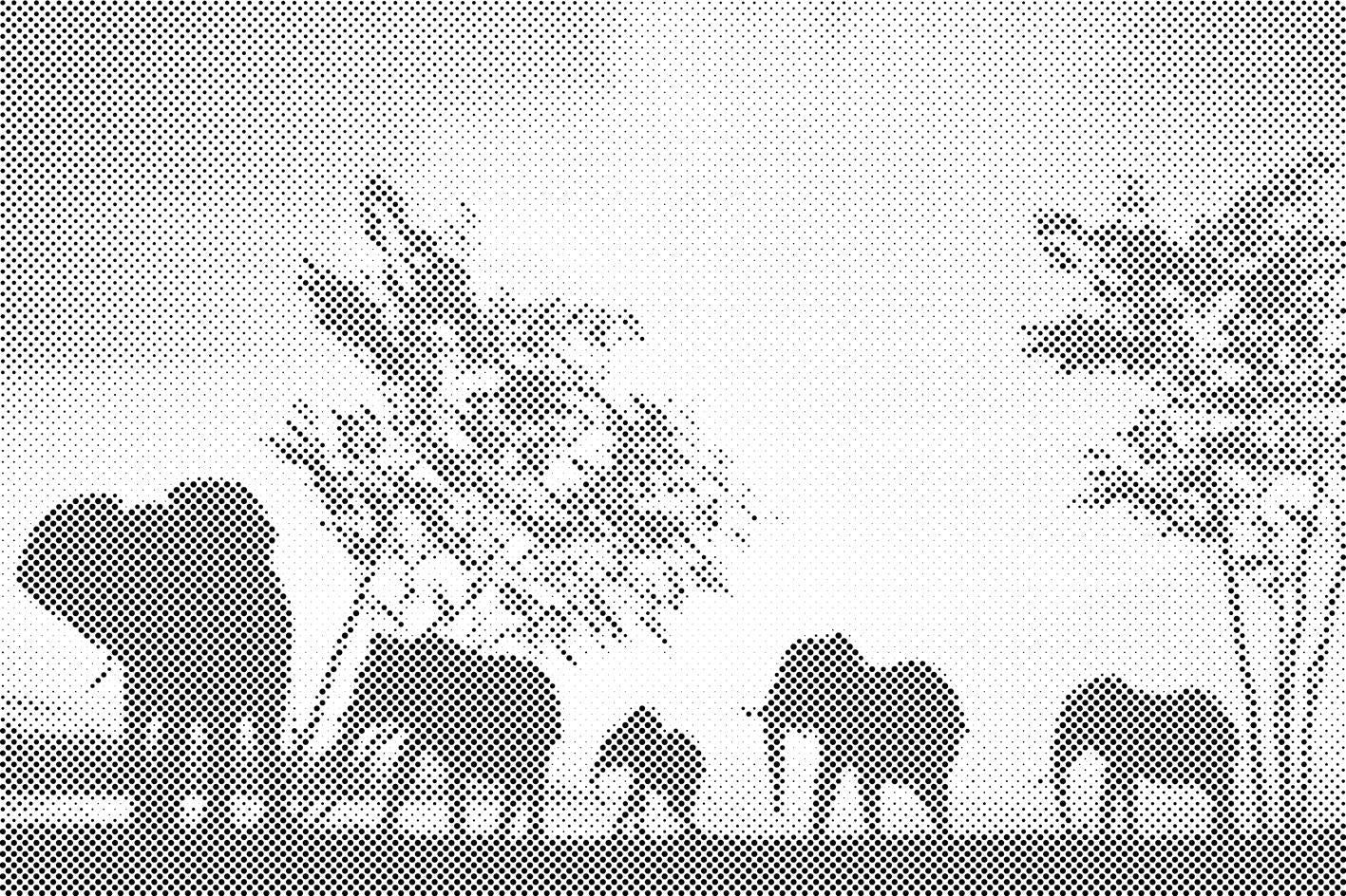 Elephants on Savannah - Dottingo