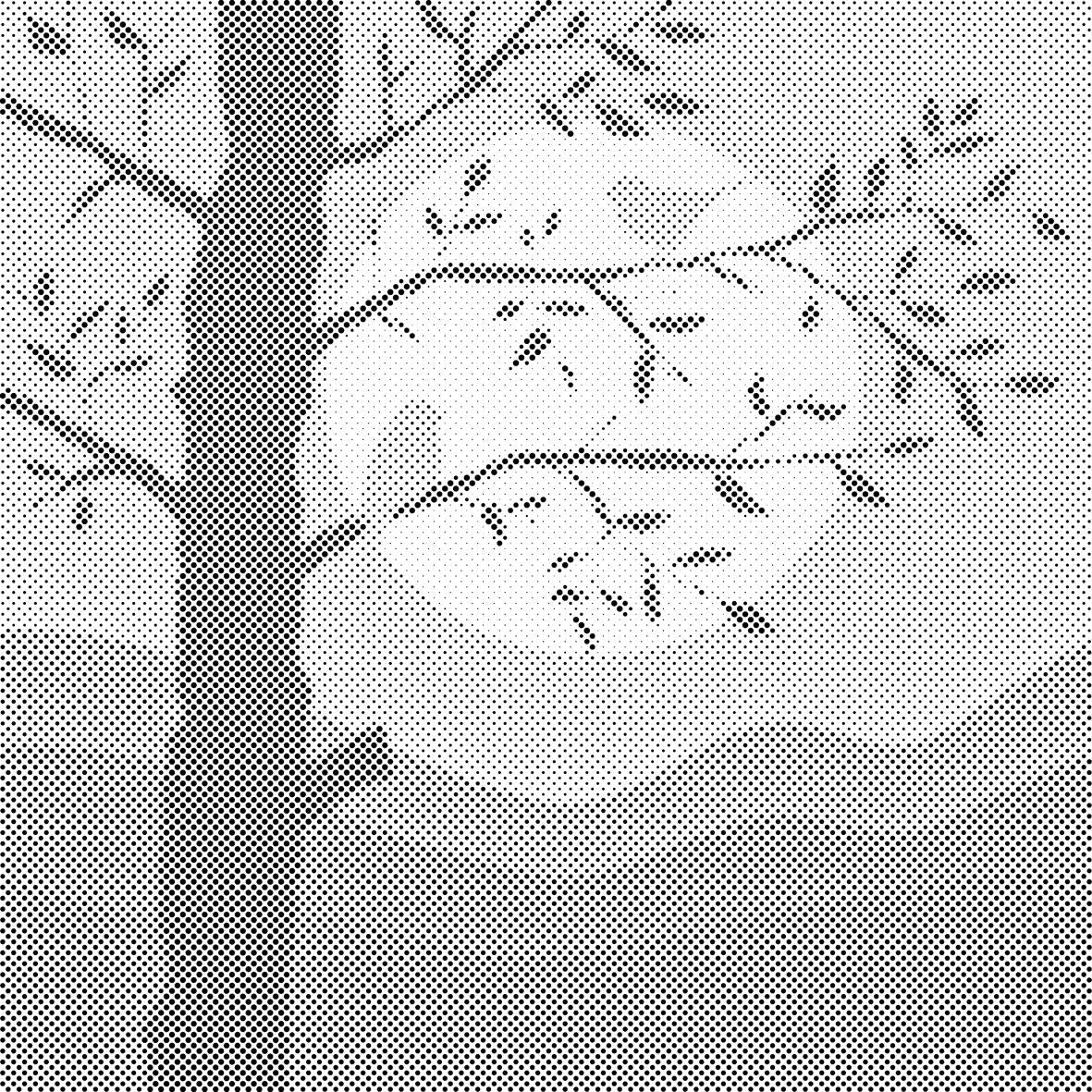 Bird silhouette - Dottingo