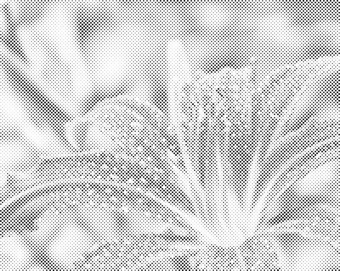 Drops of Water on the Lily Flower - Dottingo