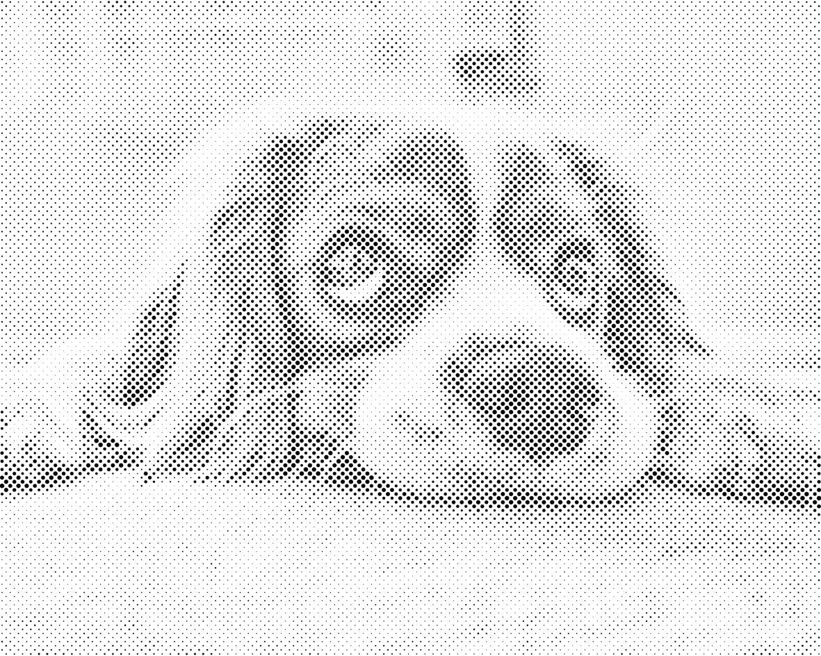 Cute Dog - Dottingo