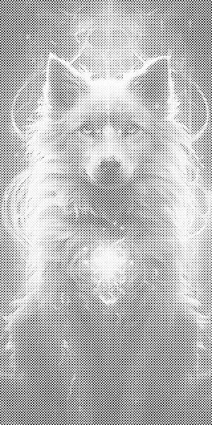 Magical wolf - Dottingo