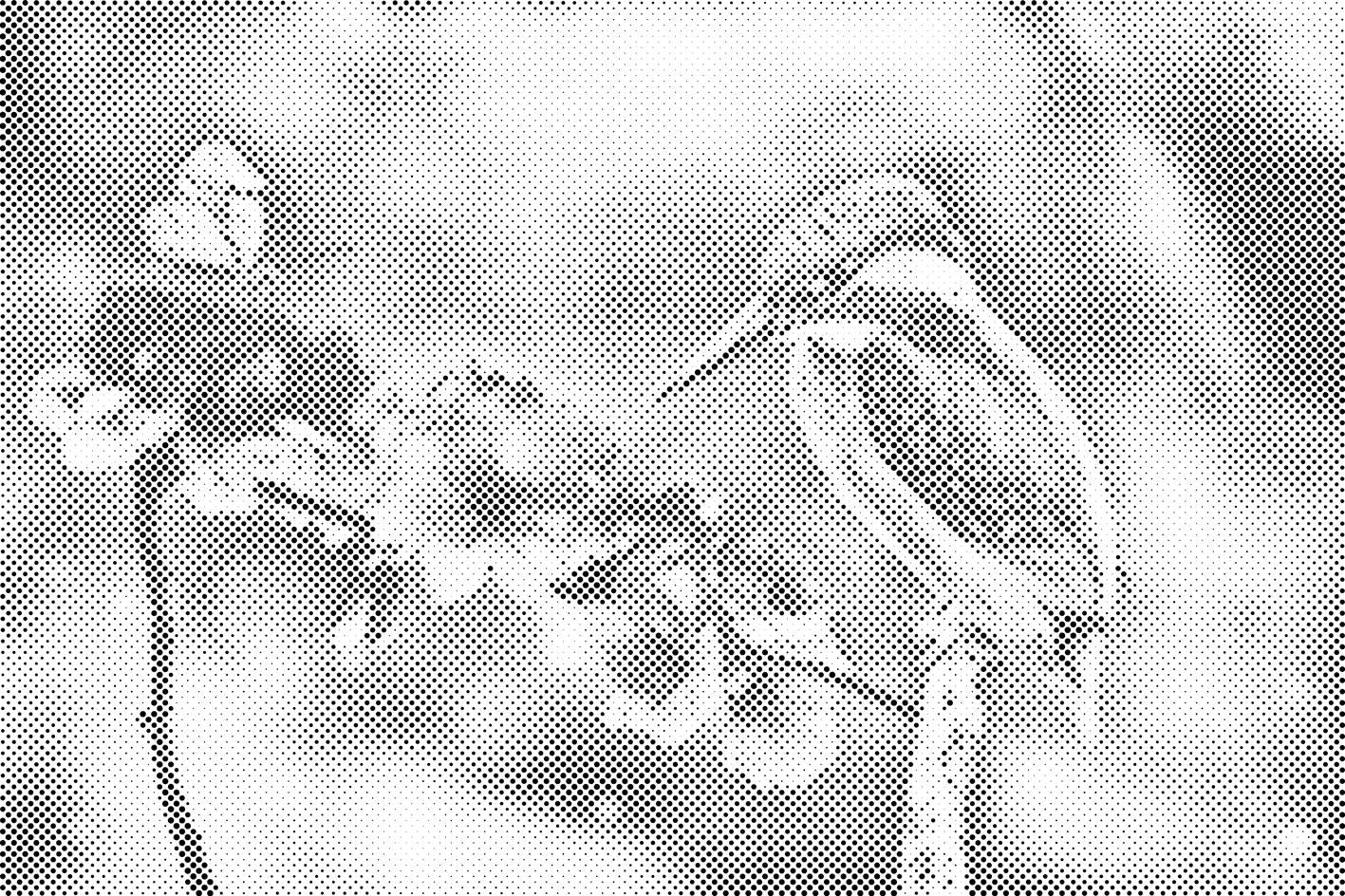 Butterfly and Kingfisher - Dottingo