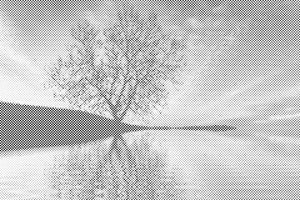 Evening Mood - Dottingo