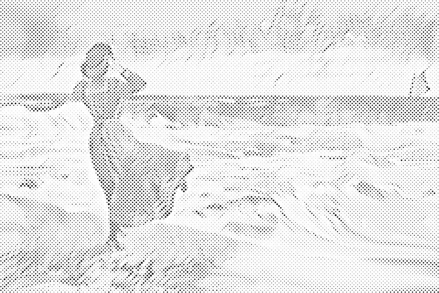 Lady on the Beach - Dottingo