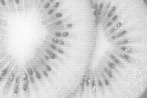 Kiwi Background - Dottingo