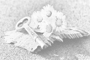 Key to Dreams - Dottingo