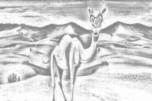 Camel in the Desert - Dottingo