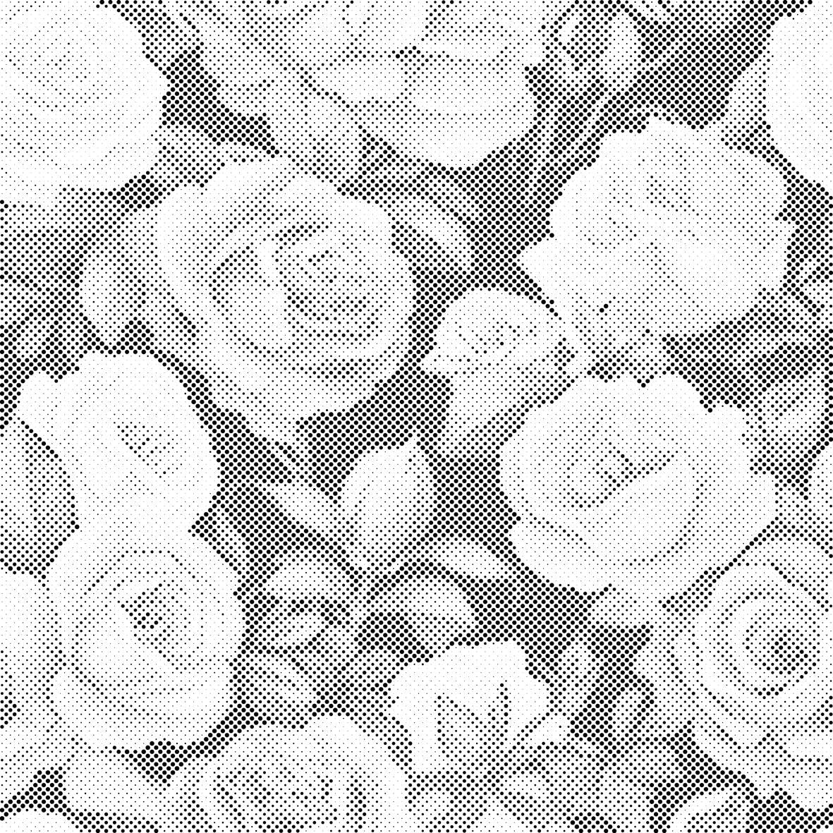 Floral background - roses - Dottingo