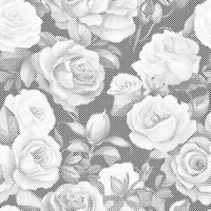 Floral background - roses - Dottingo