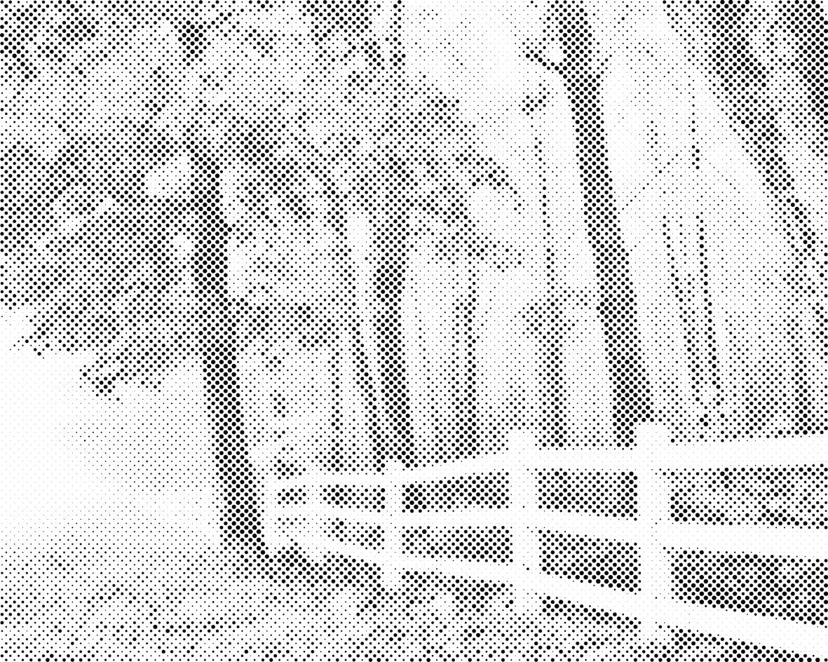Autumn Morning - Dottingo