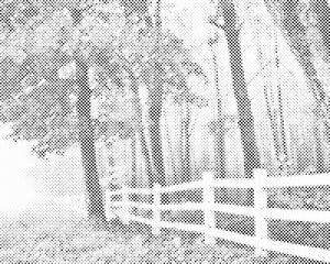 Autumn Morning - Dottingo