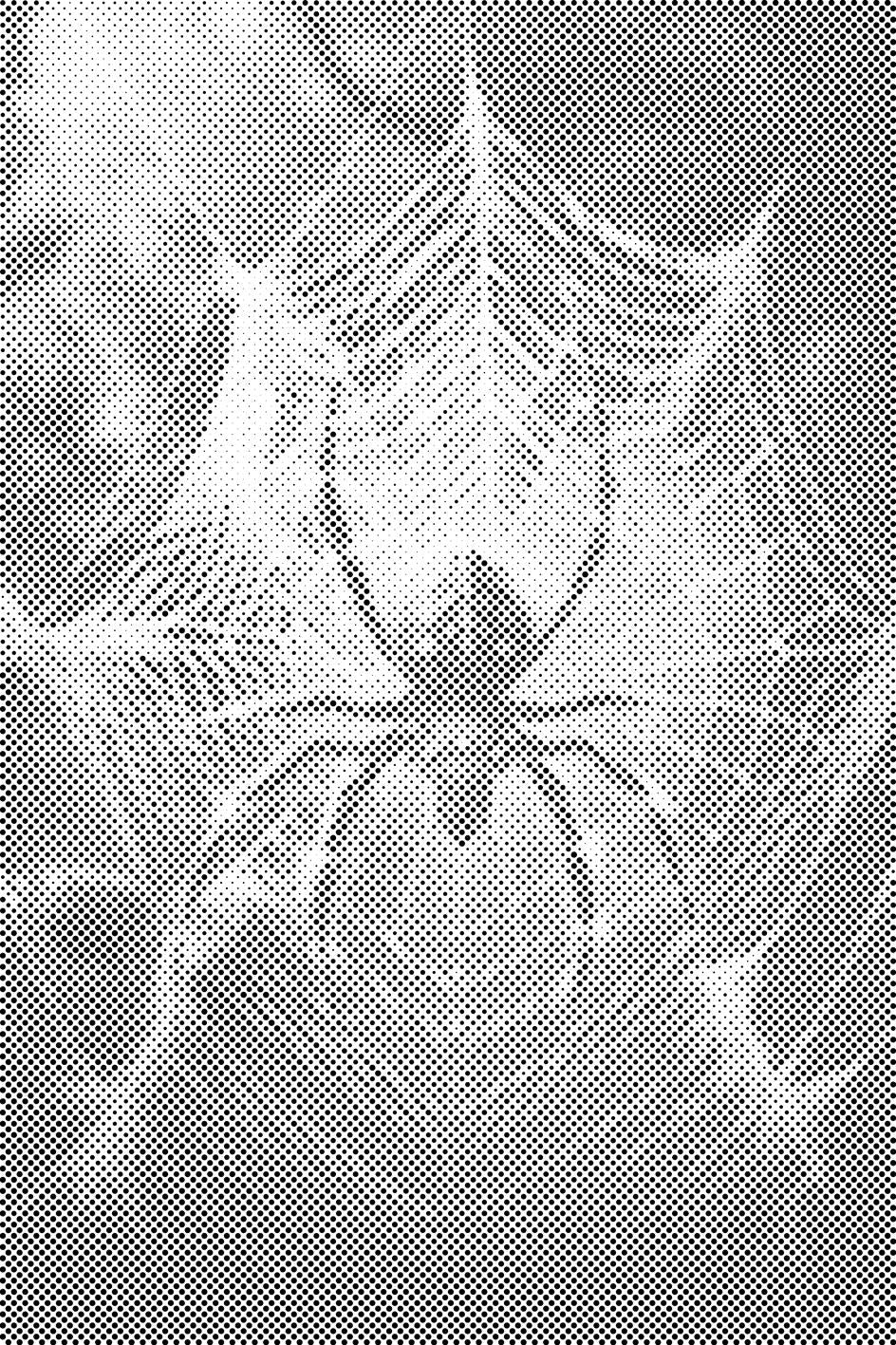 Spider in a Spiderweb - Dottingo