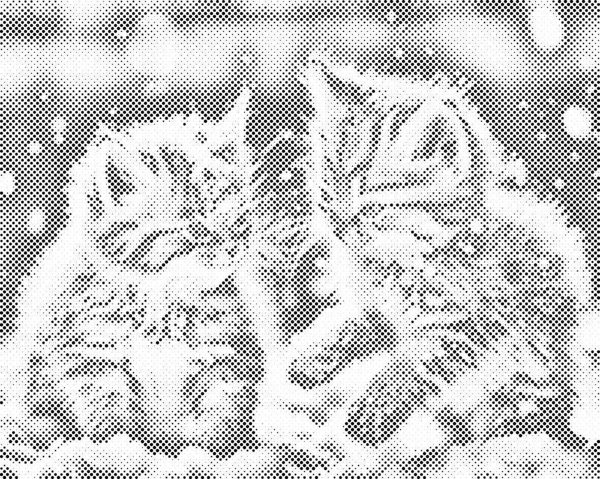 Kittens in the snow - Dottingo