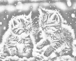 Kittens in the snow - Dottingo