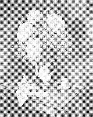 Bouquet of Hydrangeas - Dottingo