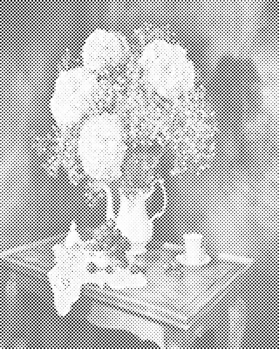 Bouquet of Hydrangeas - Dottingo