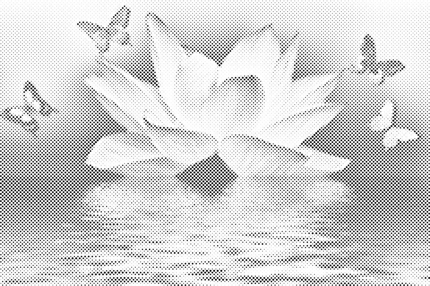 Lotus and Butterfly - Dottingo