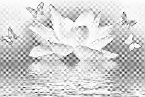 Lotus and Butterfly - Dottingo