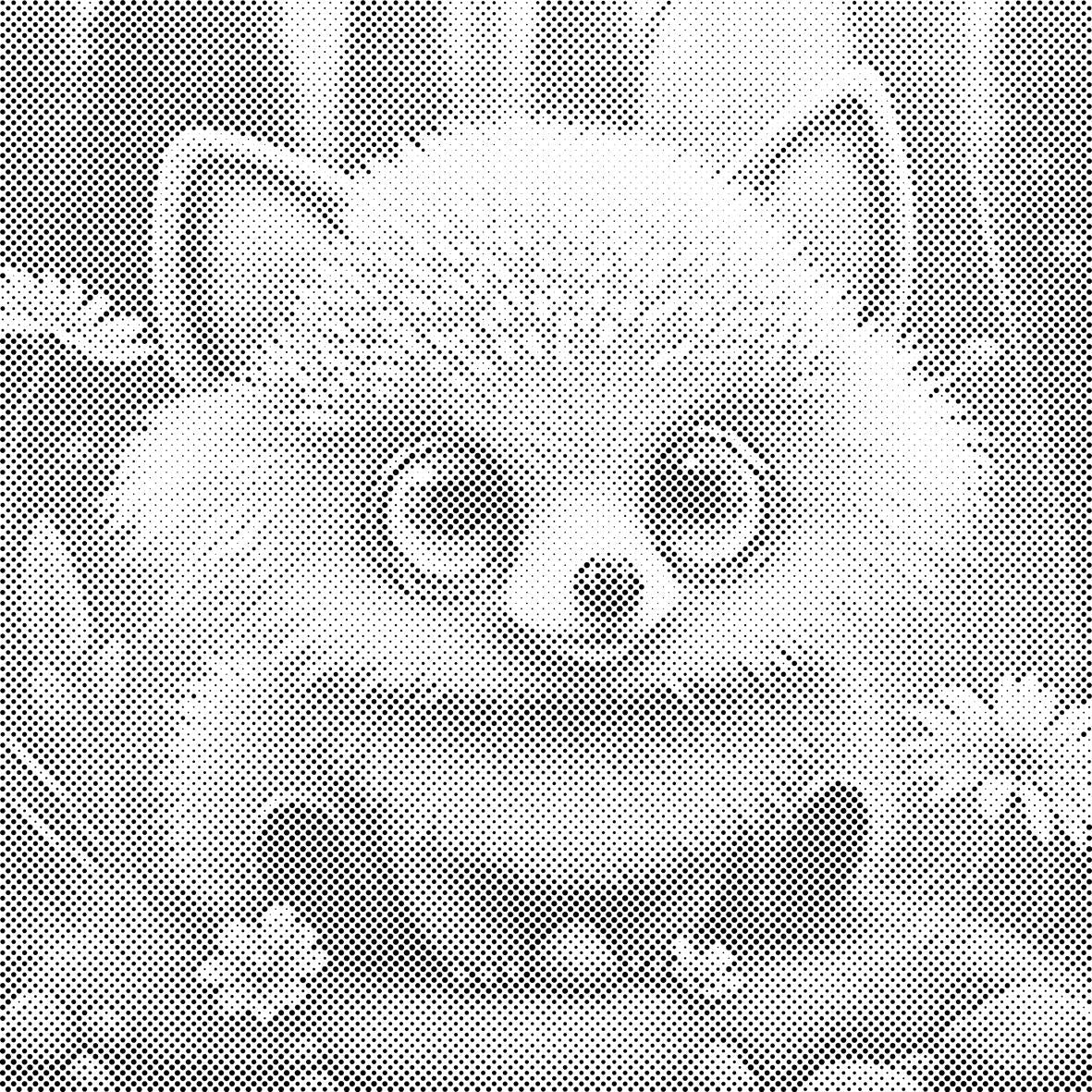 Green-eyed hedgehog - Dottingo