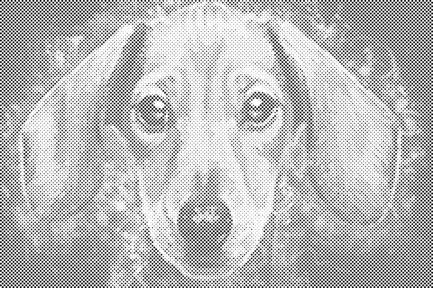 Dachshund head - Dottingo