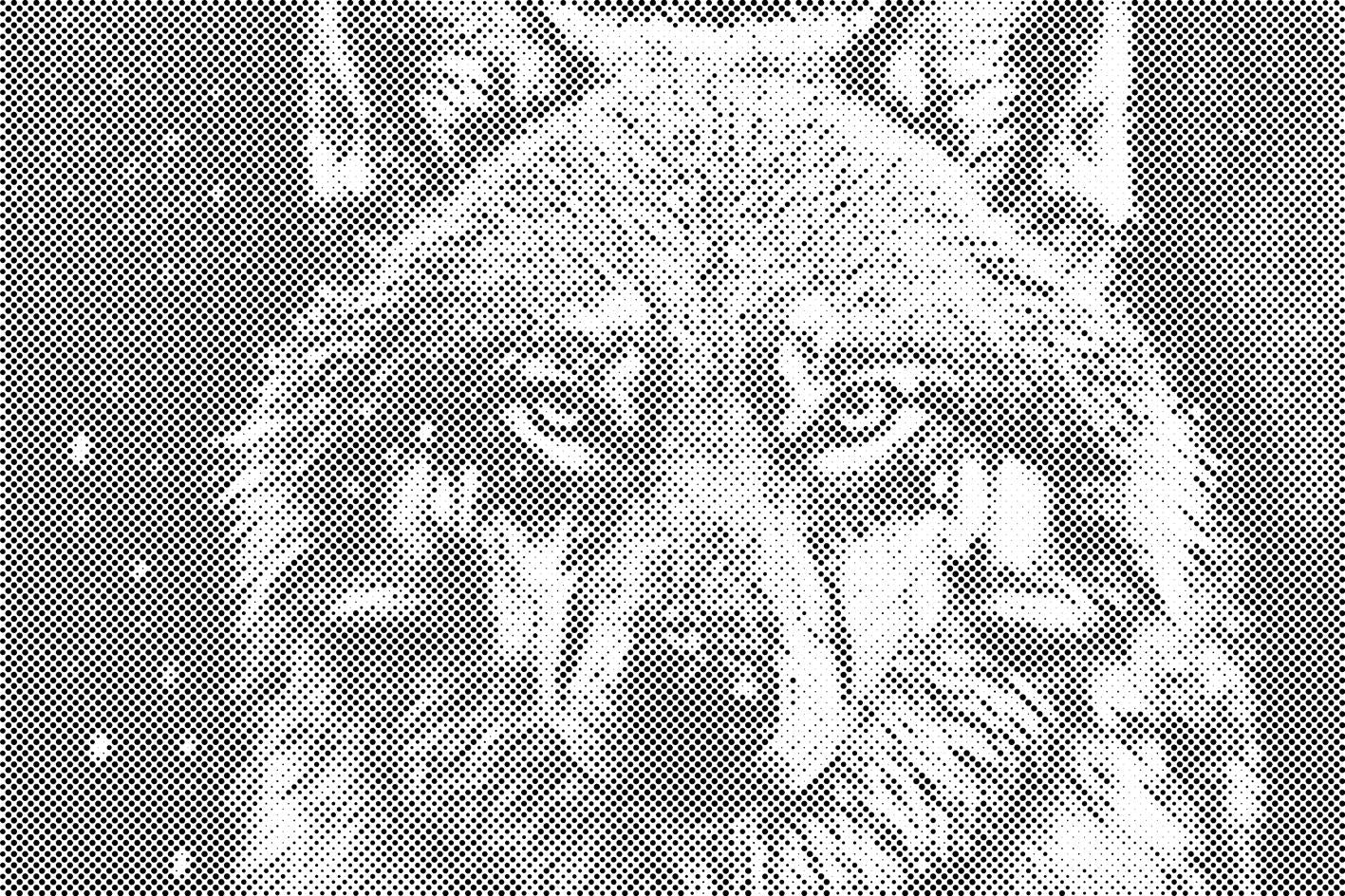 Face of a wolf - Dottingo