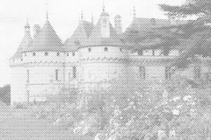 Castle Loire Valley - Dottingo
