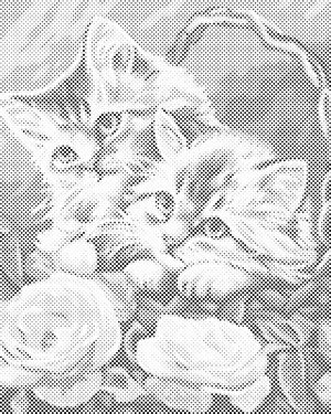 Kittens in Basket - Dottingo