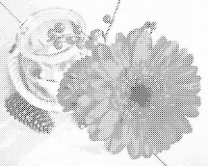 Gerbera and Candle - Dottingo