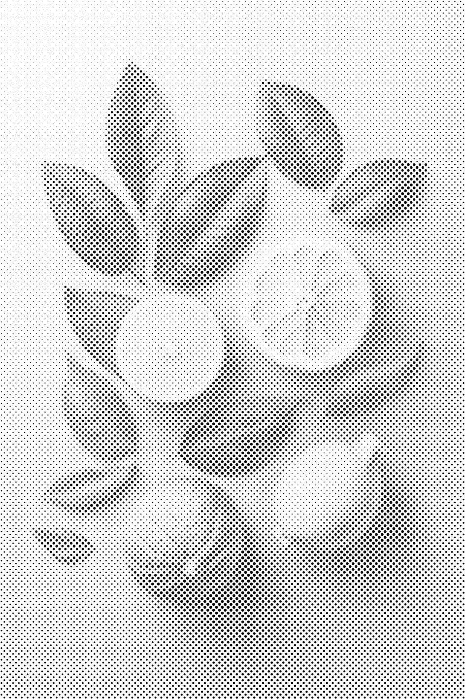 Citrusy Background - Dottingo