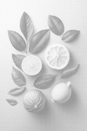 Citrusy Background - Dottingo