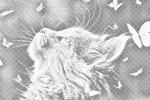 Kitten among Butterflies - Dottingo