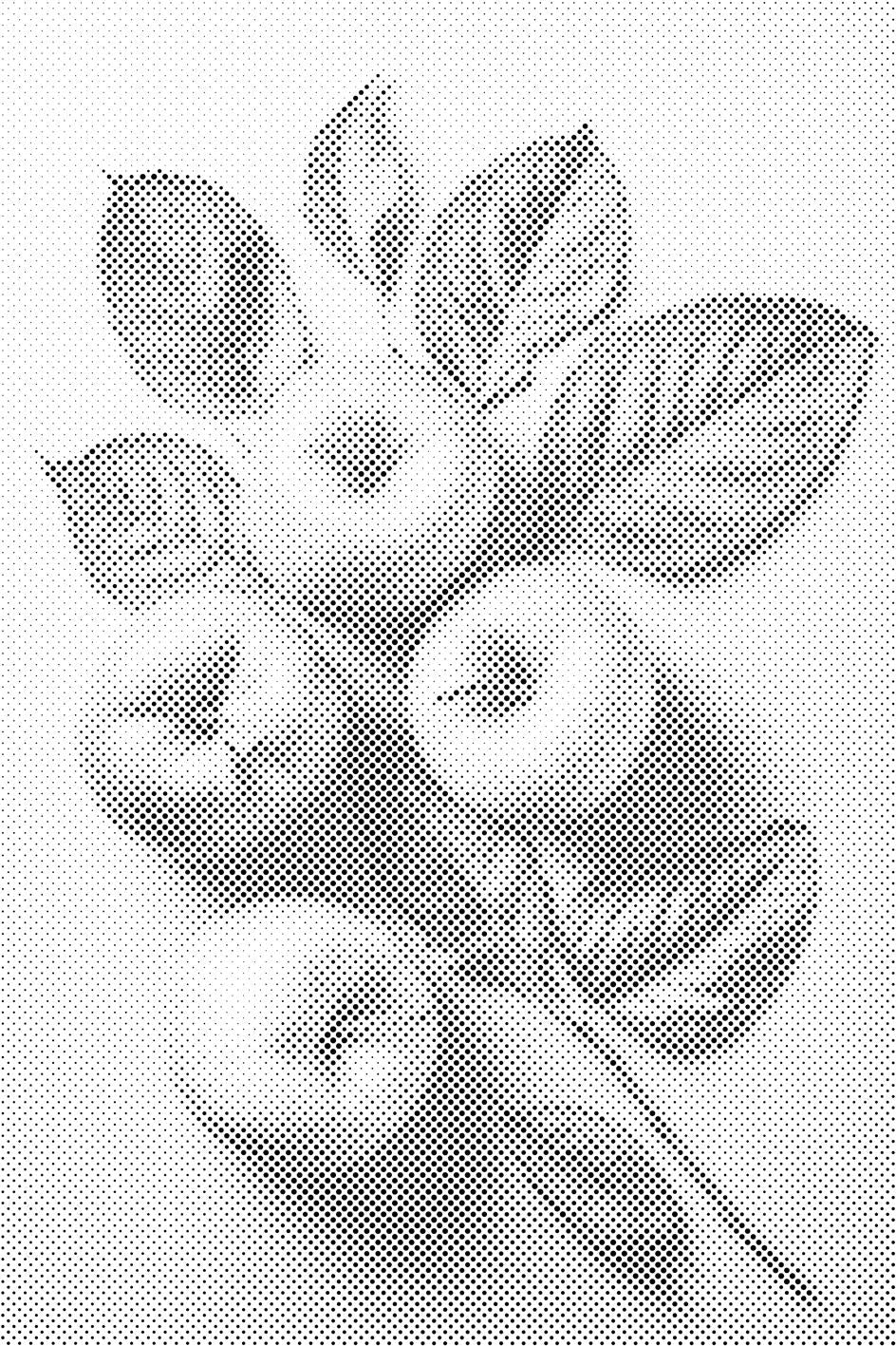 Apple Background - Dottingo