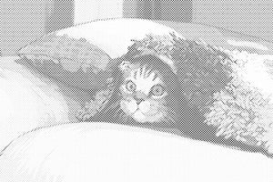 Kitty under the Pillow - Dottingo