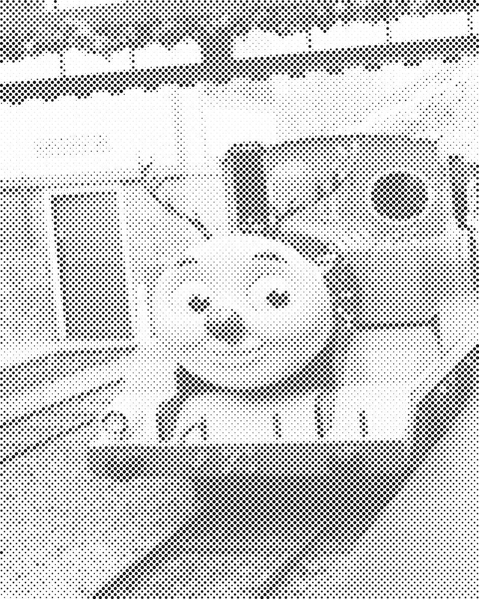 Thomas & Friends - Dottingo