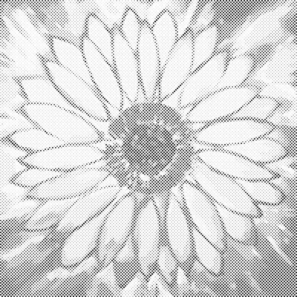 Radiant sunflower - Dottingo