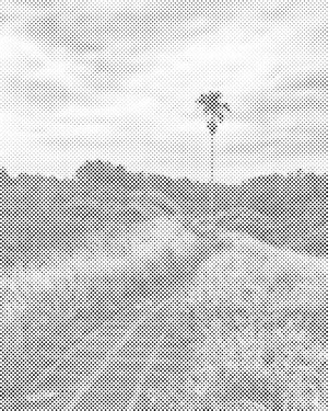 Bali Rice Walk - Dottingo
